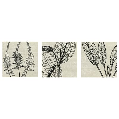 PJÄTTERYD Bilde, flower print, 56x56 cm