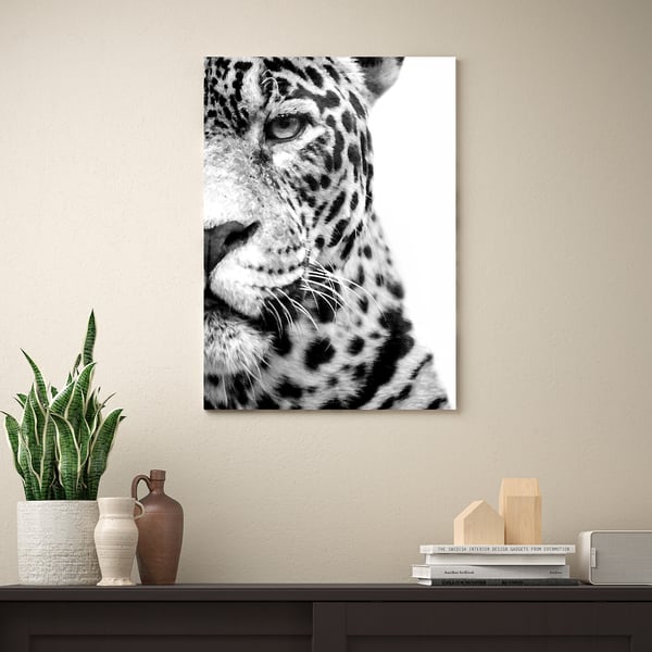 PJÄTTERYD Bilde, in the spotlight, 50x70 cm