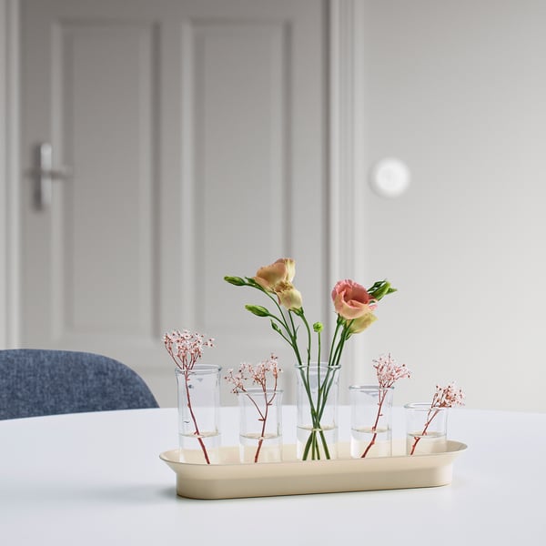 VATTENKRASSE Stiklingssett, klart glass elfenbenshvit/gullfarget