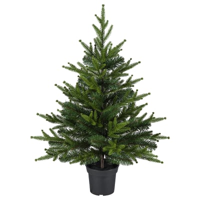 VINTERFINT Kunstig potteplante, inne/ute/juletre grønn, 15 cm