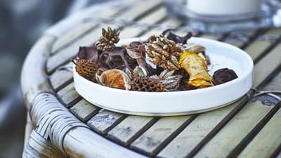 Tørkede planter og potpourri