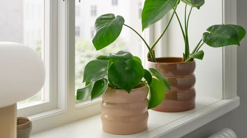 Indoor plant pots