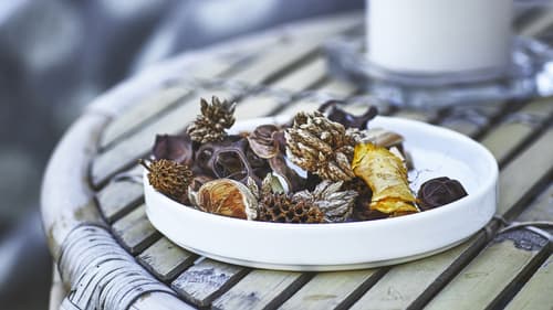 Potpourri