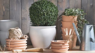 Planter, blomsterpotter og pidestaller