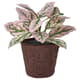 Artificial desk plants