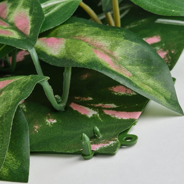 FEJKA Artificial plant, wall mounted/in/outdoor Wax plant, 25x25 cm