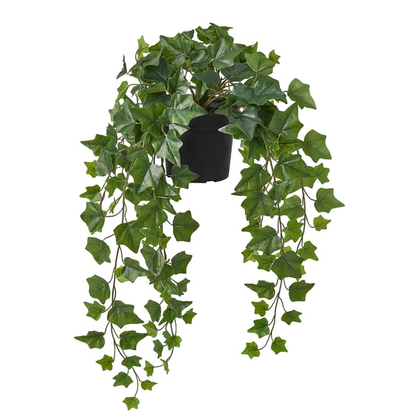 FEJKA Artificial potted plant, in/outdoor hanging/Ivy, 15 cm
