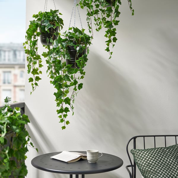 FEJKA Artificial potted plant, in/outdoor hanging/Ivy, 15 cm