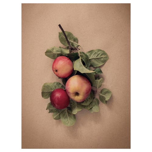 Three red apples with green leaves on beige background.