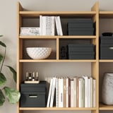 FJÄDERHARV صندوق تخزين مع غطاء, فحمي, ‎25x35x8 سم‏