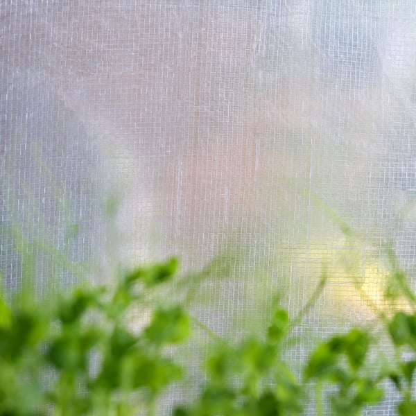 ASPAREN Greenhouse, transparent white, 95x32x162 cm