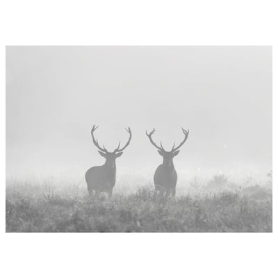 BJÖRKSTA Picture, Deers in fog, 200x140 cm