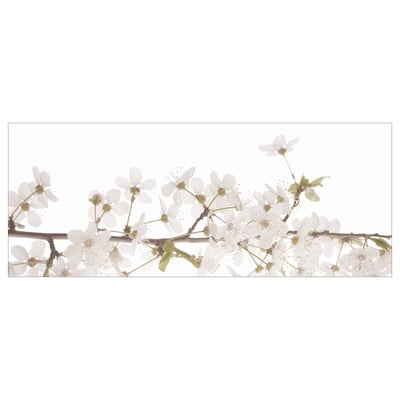 White floral blooms on branch, delicate petals, soft background.