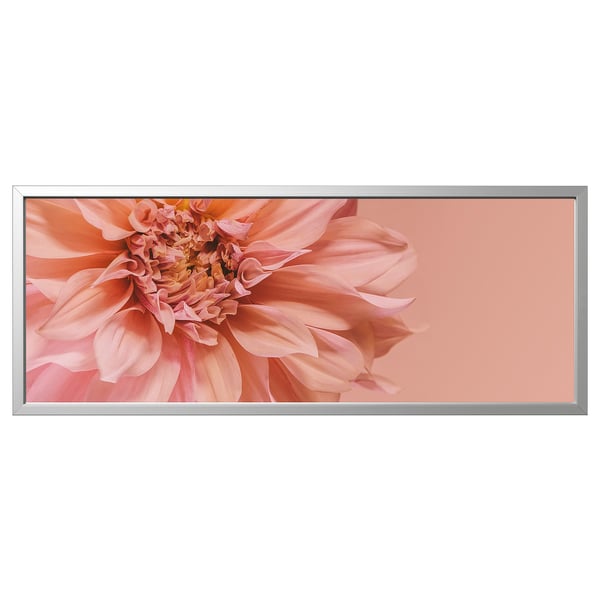 BJÖRKSTA peach flower art print, rectangular, silver frame.