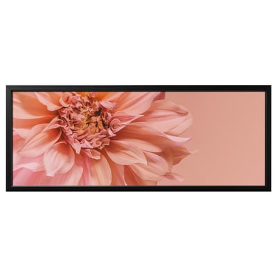 BJÖRKSTA black frame holds bright pink flower close-up image. Rectangular, sleek design.