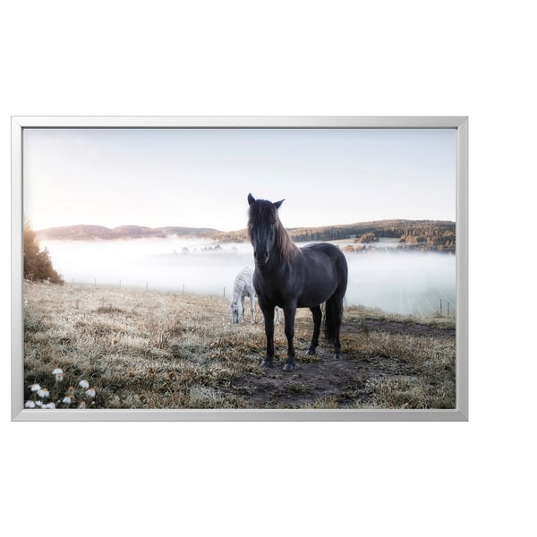 BJÖRKSTA black horse print. Framed rural scene with horse, foggy field, and mountains. Modern, minimalist style.