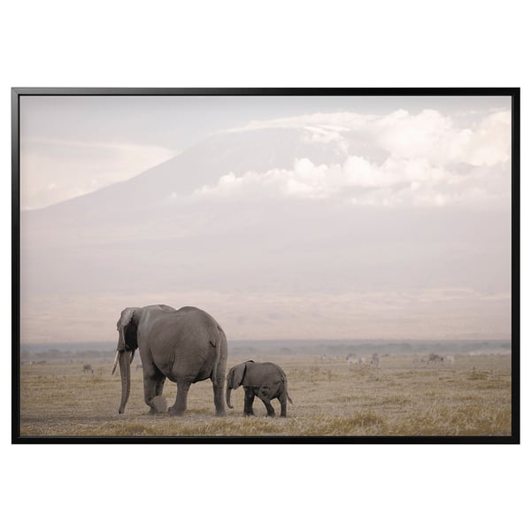 BJÖRKSTA frame picture, grey, featuring an african scene with elephants.