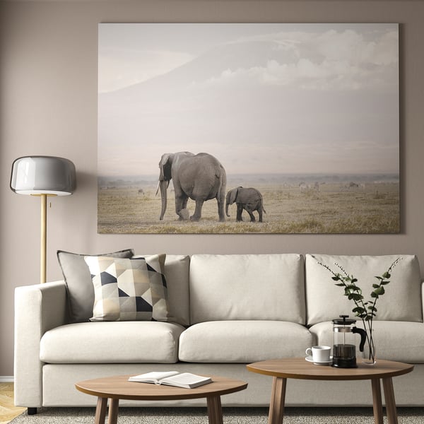 Elephant motif frame above white couch in modern living room. Pillows, lamp, books, coffee press, savanna elephants.