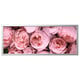 Framed pink flowers art: BJÖRKSTA. Large rectangular canvas with blooming peonies, aluminium silver frame.