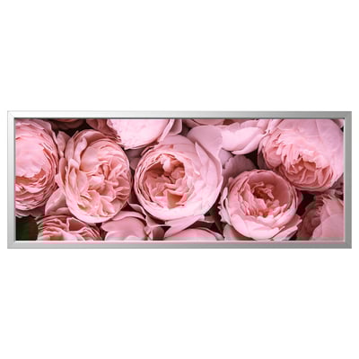Framed pink flowers art: BJÖRKSTA. Large rectangular canvas with blooming peonies, aluminium silver frame.