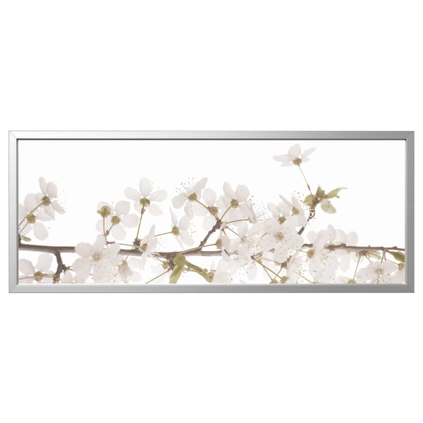White cherry blossoms in modern silver frame. Rectangular panel design.