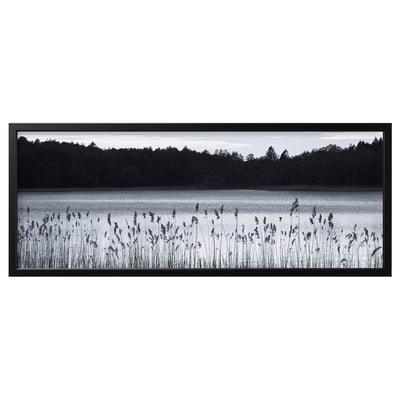 Black & white fine art framed photo. Lake and reeds, serene nature scene.