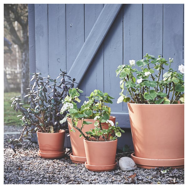 BRUNBÄR Plant pot with saucer, outdoor terracotta, 24 cm