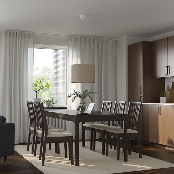 Modern dining area with EKEDALEN table, chairs, pendant lamp, window, and rug.