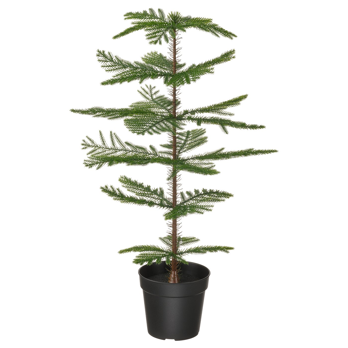 Fejka Artificial Potted Plant In Outdoor Norfolk Island Pine 15 Cm Ikea