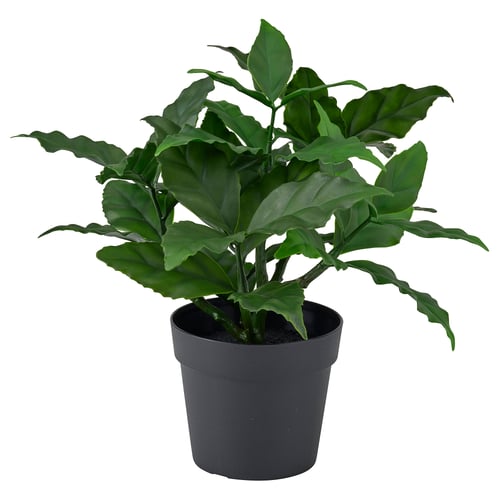 FEJKA Artificial potted plant, in/outdoor/sweet bay, 9 cm