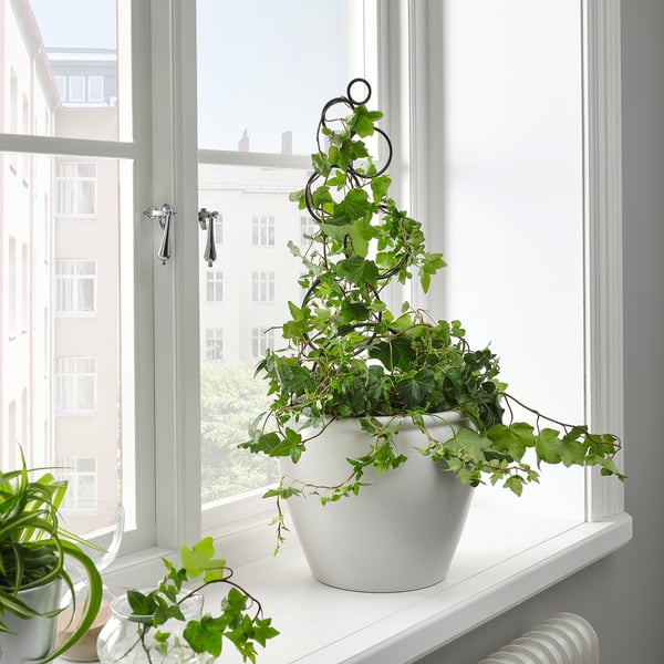 KASKADPIL Plant support, in/outdoor black, 16x50 cm