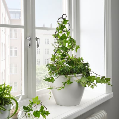 KASKADPIL Plant support, in/outdoor black, 16x50 cm