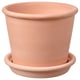 Option: MUSKOTBLOMMA Plant pot with saucer, in/outdoor terracotta, 15 cm