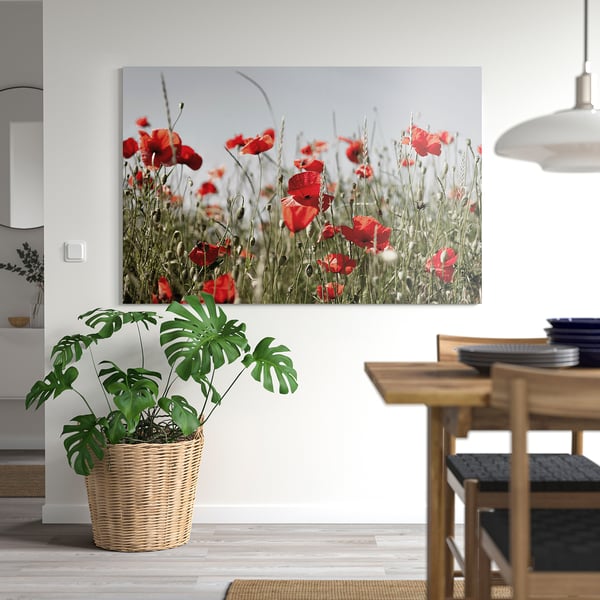 PJÄTTERYD poppy wall art, off-white room, dining, plant.