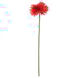 SMYCKA Artificial flower, Gerbera/red, 50 cm