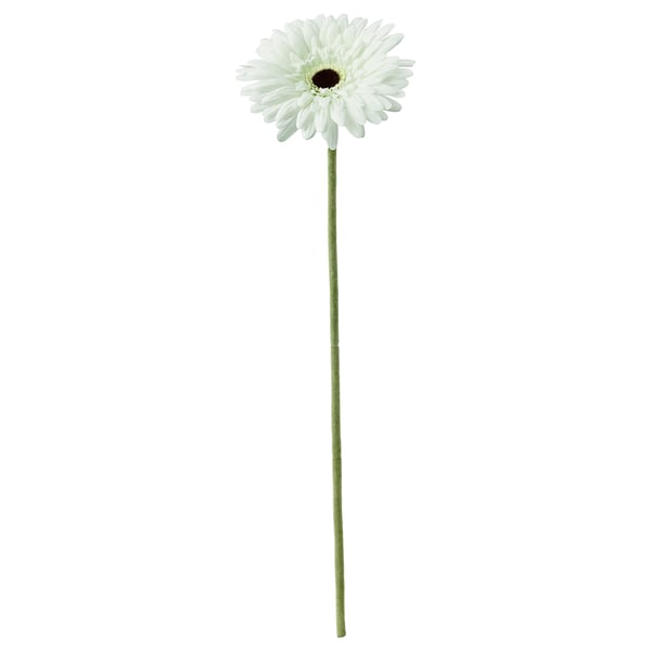 SMYCKA Artificial flower, Gerbera/white, 50 cm