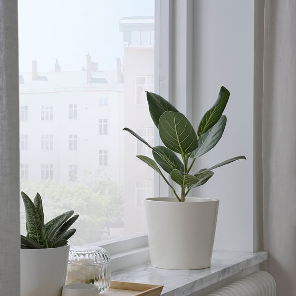 SOJABÖNA Plant pot, white, 15 cm