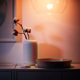 TRÅDFRI / STYRBAR Starter kit, smart wireless dimmable/colour and white spectrum globe, E14