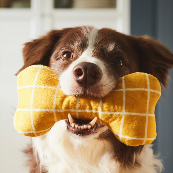 UTSÅDD Soft toy for dog, yellow