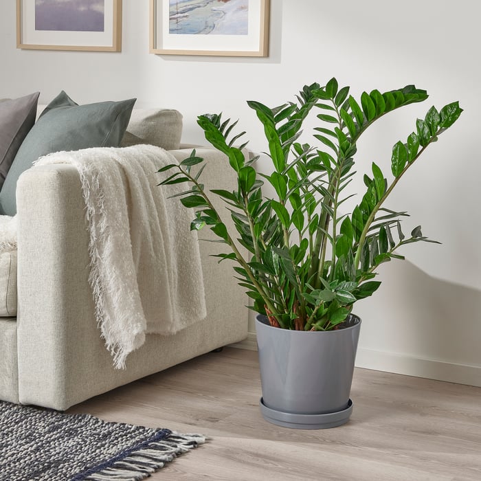 Indoor plant pots IKEA