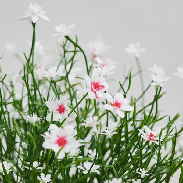 FEJKA Artificial potted plant, indoor/outdoor/Baby’s breath white, 9 cm