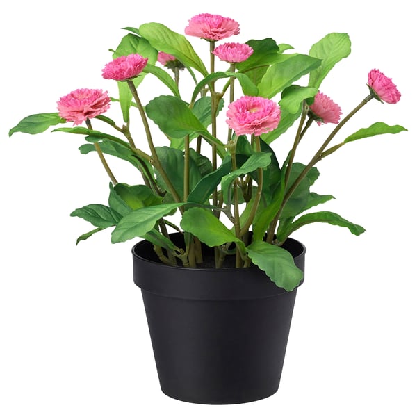 FEJKA Artificial potted plant, indoor/outdoor/Common daisy pink, 12 cm