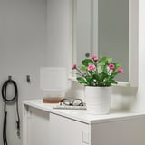 FEJKA Artificial potted plant, indoor/outdoor/Common daisy pink, 12 cm