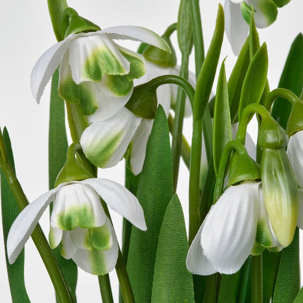 FEJKA Artificial potted plant, indoor/outdoor/snowdrop white, 9 cm