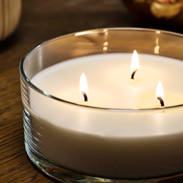 LOTSFÅGEL Scented candle in glass, 3 wicks
