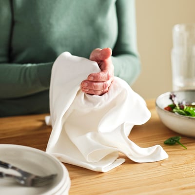 RÖDSPÄTTA Dish towel, white, 45x60 cm