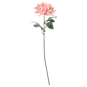 Single light pink flower with green leaves and stem, floral decor.