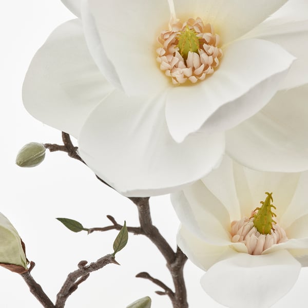 SMYCKA Artificial flower, indoor/outdoor/magnolia white, 61 cm