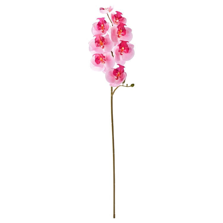 SMYCKA Artificial flower indoor/outdoor/Orchid pink IKEA