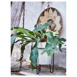 SVARTPEPPAR Plant stand, indoor/outdoor black, 32 cm